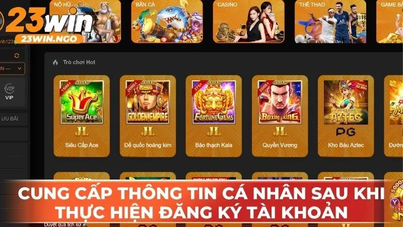 Người chơi cung cấp thông tin cá nhân chính sau khi thực hiện đăng ký tài khoản